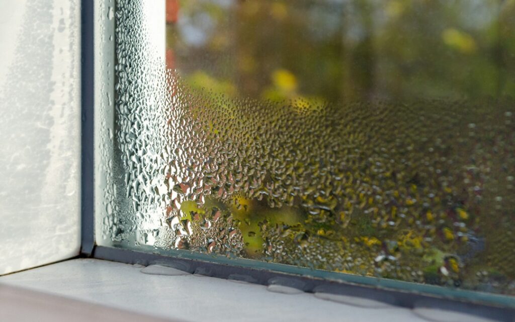 What Is Window Condensation and How Can I Get Rid Of It